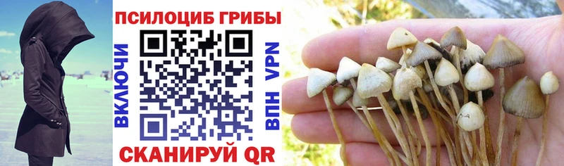 Псилоцибиновые грибы Magic Shrooms  гидра как войти  Нефтеюганск  где купить наркоту 