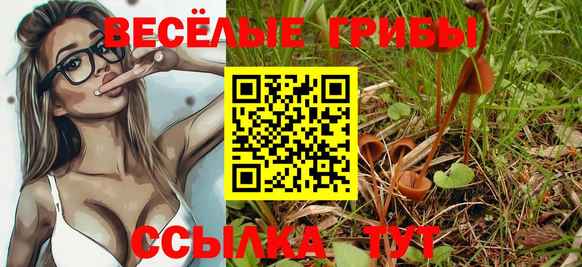 Галлюциногенные грибы Psilocybe Нефтеюганск