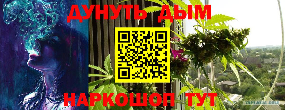 Шишки марихуана Bruce Banner  МАРИХУАНА тримм  Вход с VPN  Шишки марихуана Bruce Banner  Нефтеюганск 